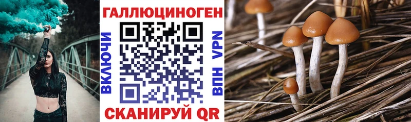 Псилоцибиновые грибы мухоморы  Ардатов 